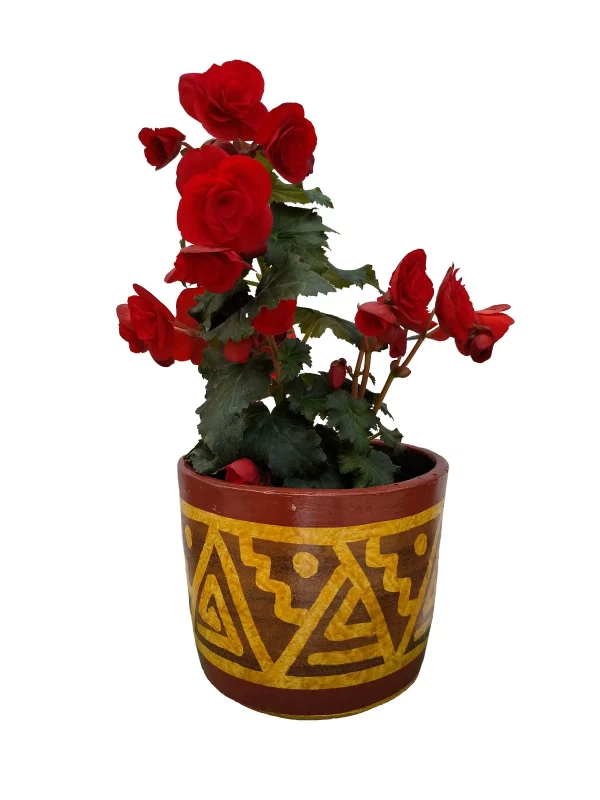 Begonia Roja con Maceta de Barro Diseño Precolombino