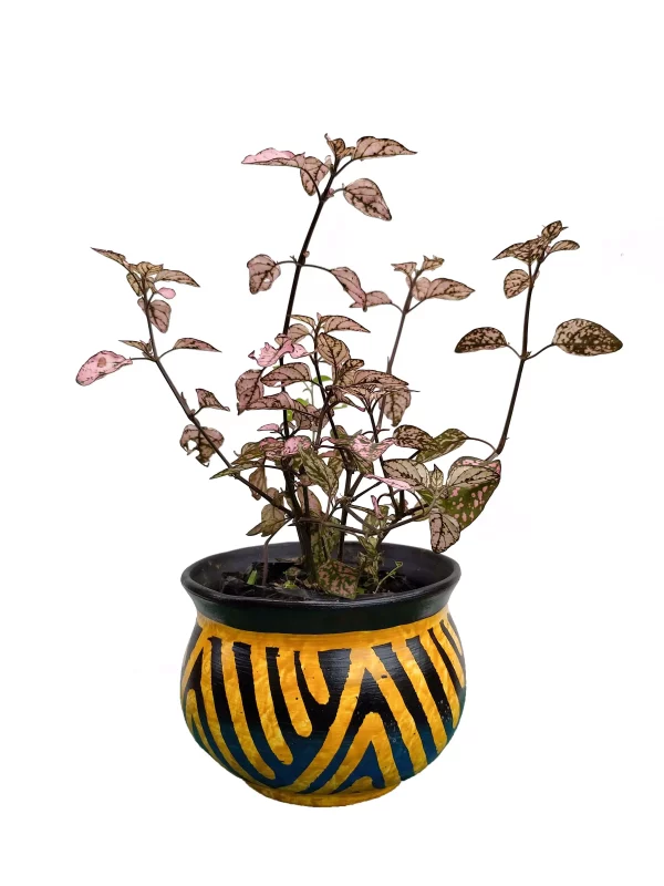 Destrancadera Rosa