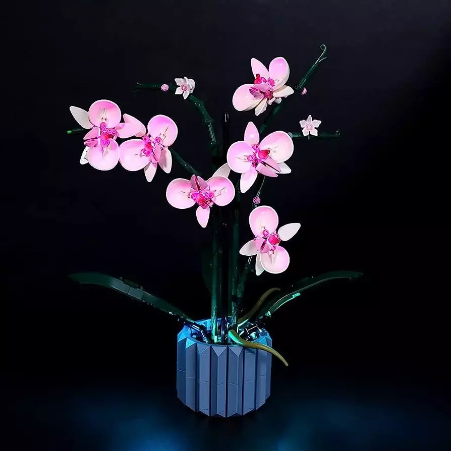 iluminacion-orquidea-min